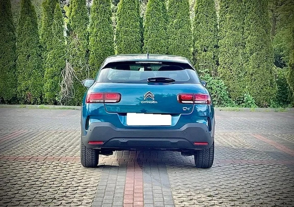 Citroen C4 Cactus cena 49815 przebieg: 55000, rok produkcji 2018 z Białogard małe 277